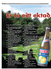 Síða 16