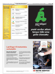 Síða 29