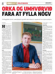 Síða 8