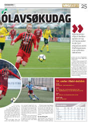 Síða 25