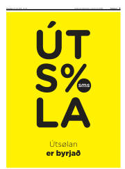 Síða 3