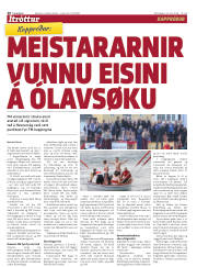 Síða 20