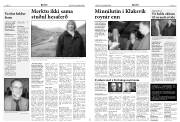 Síða 8