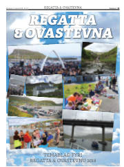 Síða 11
