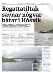 Síða 14