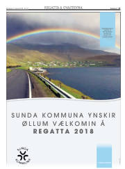 Síða 17