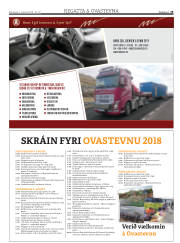Síða 19
