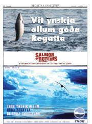 Síða 22