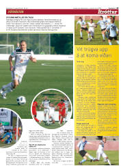 Síða 29