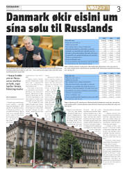 Síða 3