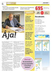 Síða 4