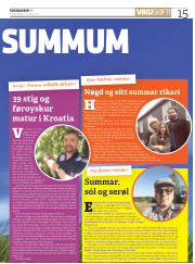 Síða 15