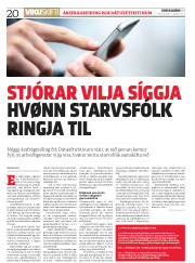 Síða 20