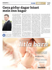 Síða 27