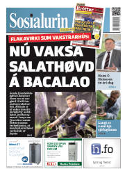 Síða 1