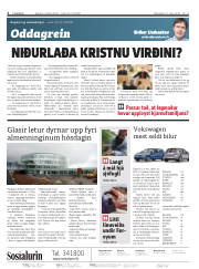 Síða 2