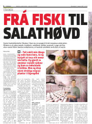 Síða 4