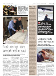 Síða 9