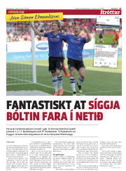 Síða 17