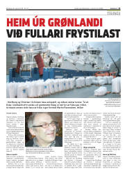 Síða 11