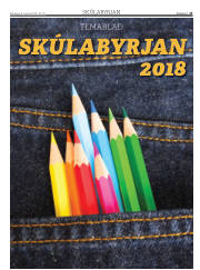 Síða 13