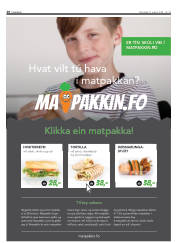 Síða 28