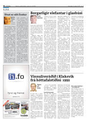 Síða 29