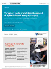 Síða 31