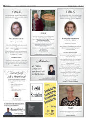 Síða 33