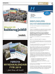 Síða 5