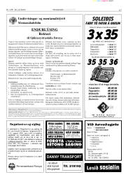 Síða 17