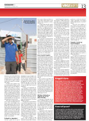 Síða 13