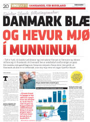 Síða 20