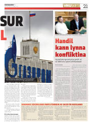 Síða 21