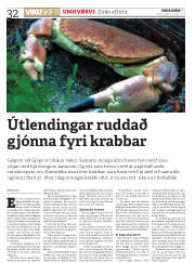 Síða 32