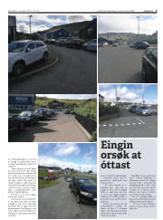 Síða 5