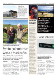 Síða 7