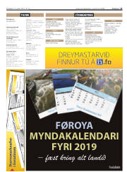 Síða 11