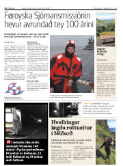 Síða 12