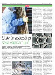 Síða 8