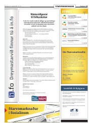 Síða 17