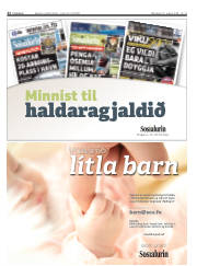 Síða 22