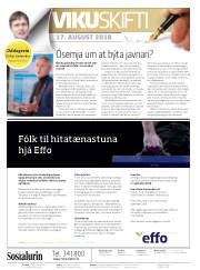 Síða 2