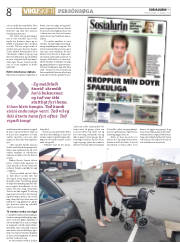 Síða 8