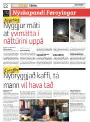 Síða 12