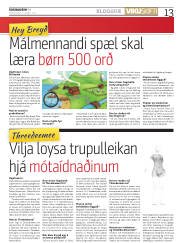 Síða 13