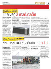 Síða 15