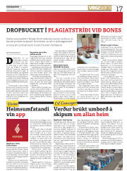 Síða 17