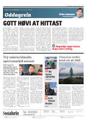 Síða 2