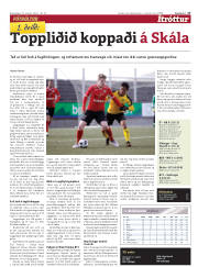 Síða 17